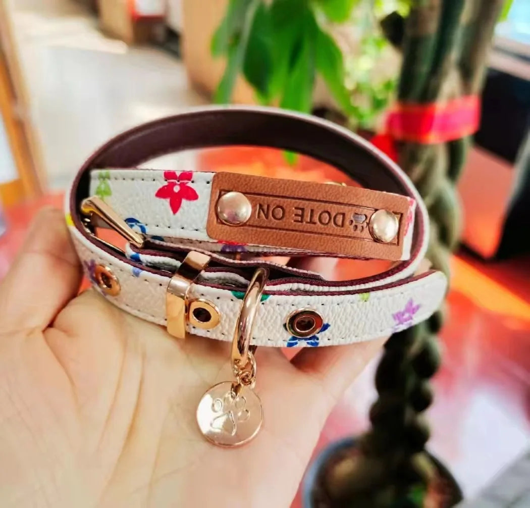 LV Collar and Leash Set