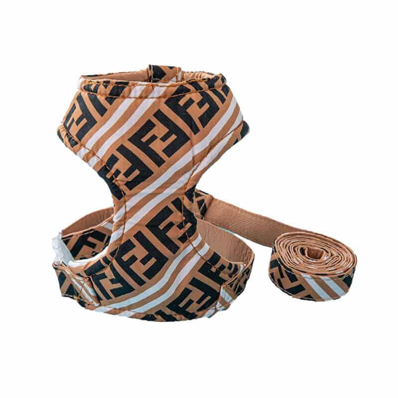 FF Harness and Leash Set