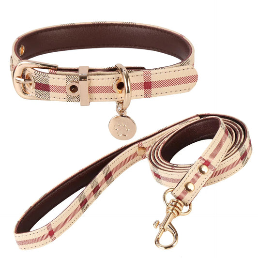 Furberry Collar and Leash Set
