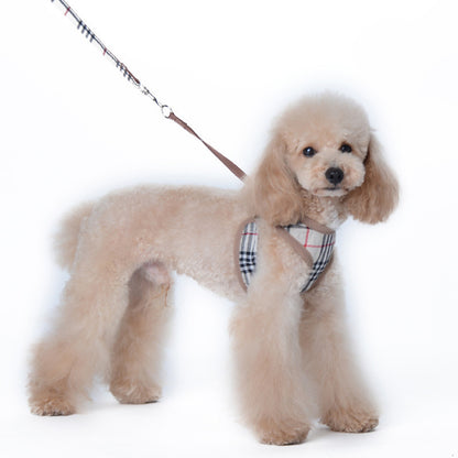 Furberry Harness and Leash Set