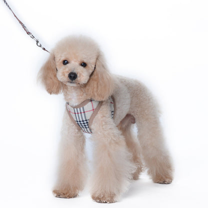 Furberry Harness and Leash Set